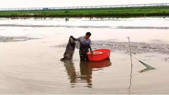 支持的短片小说《高大的虾农》